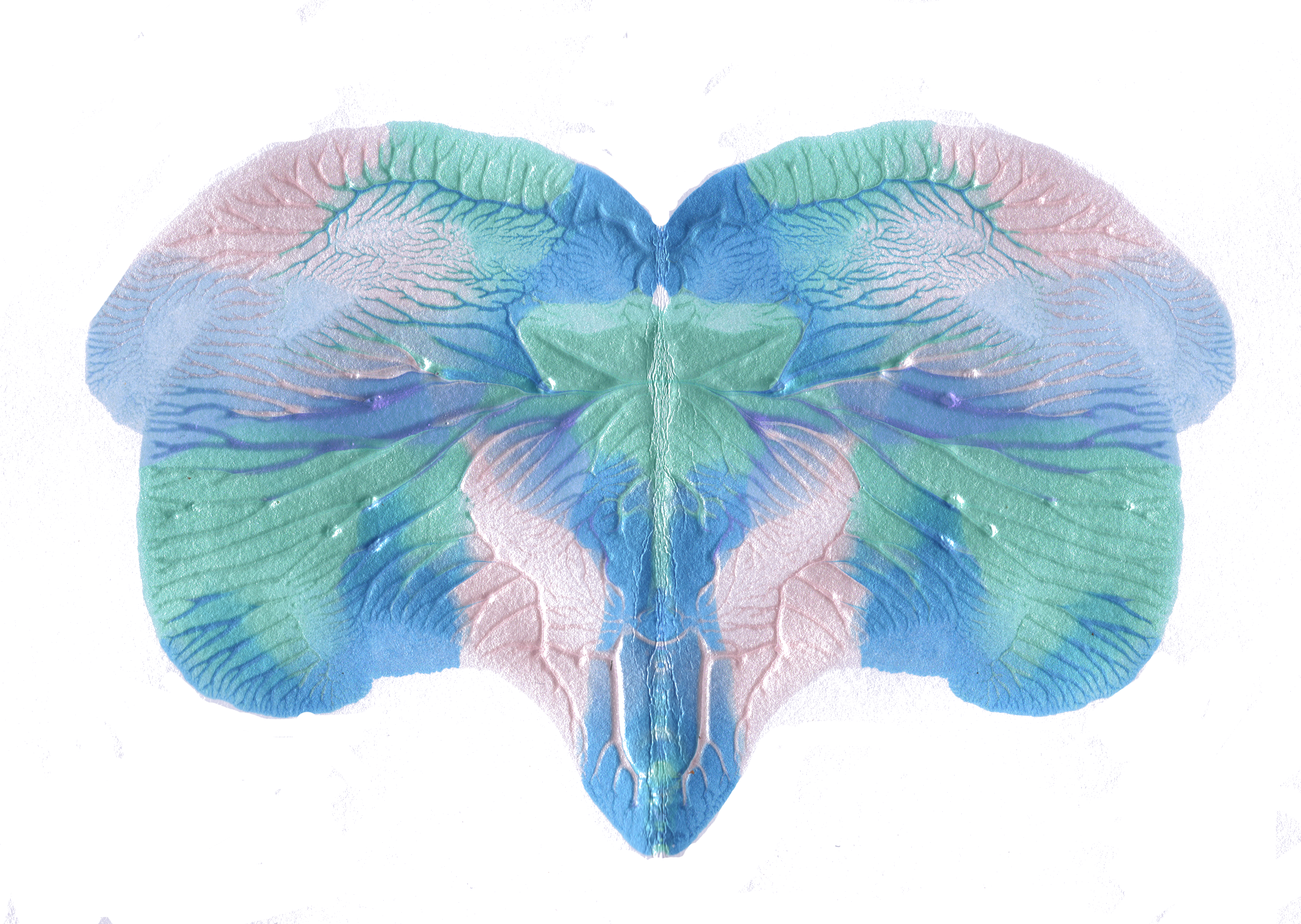 An illustrative sketch of a flower