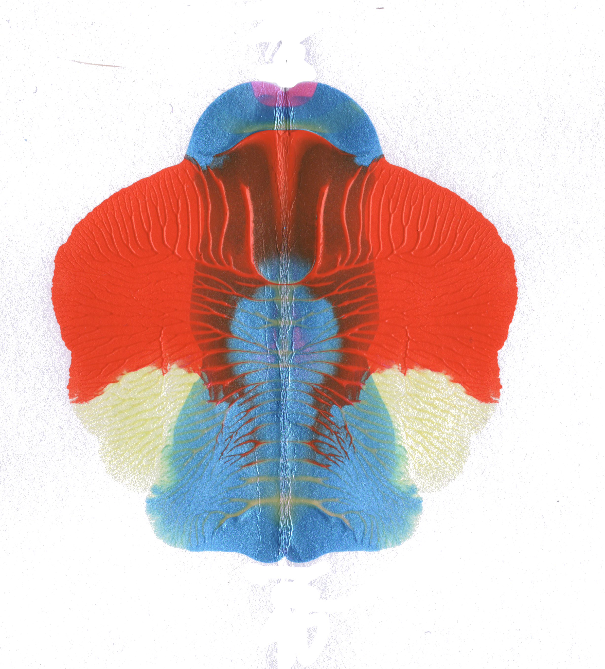 An illustrative sketch of a flower