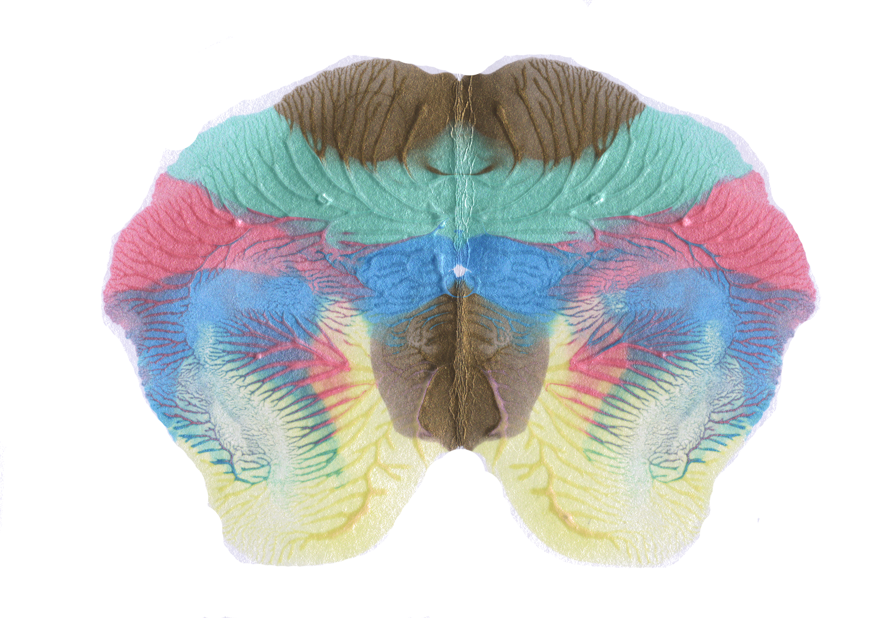 An illustrative sketch of a flower